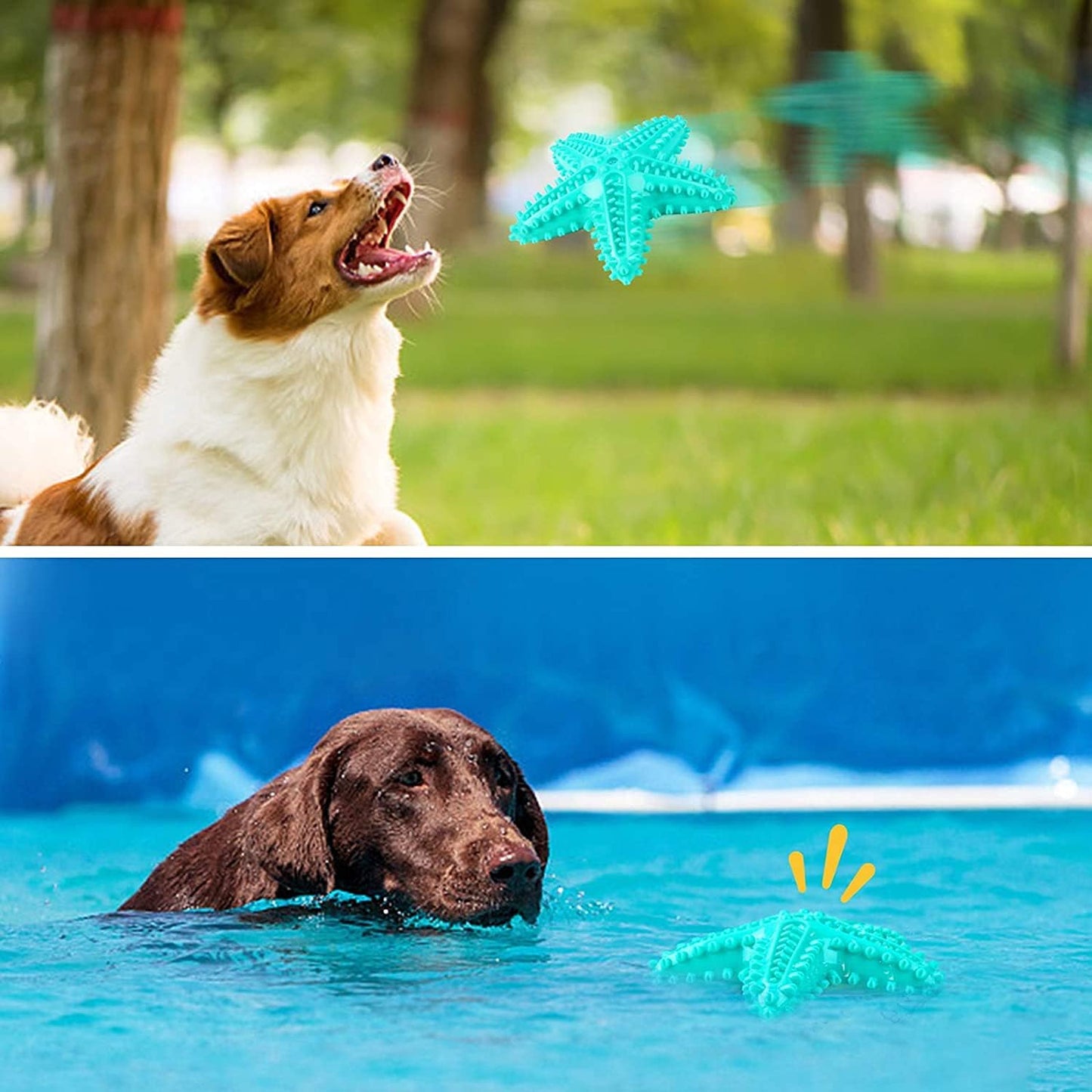 Squeaky Dog Chew Toys for Aggressive Chewers- Dog Toothbrush Toy Durable Chew Sticks for Puppies Teething- Rubber Floating Toy Interactive Puppy Tots Toy for Training Small Medium Dogs (Blue Starfish)