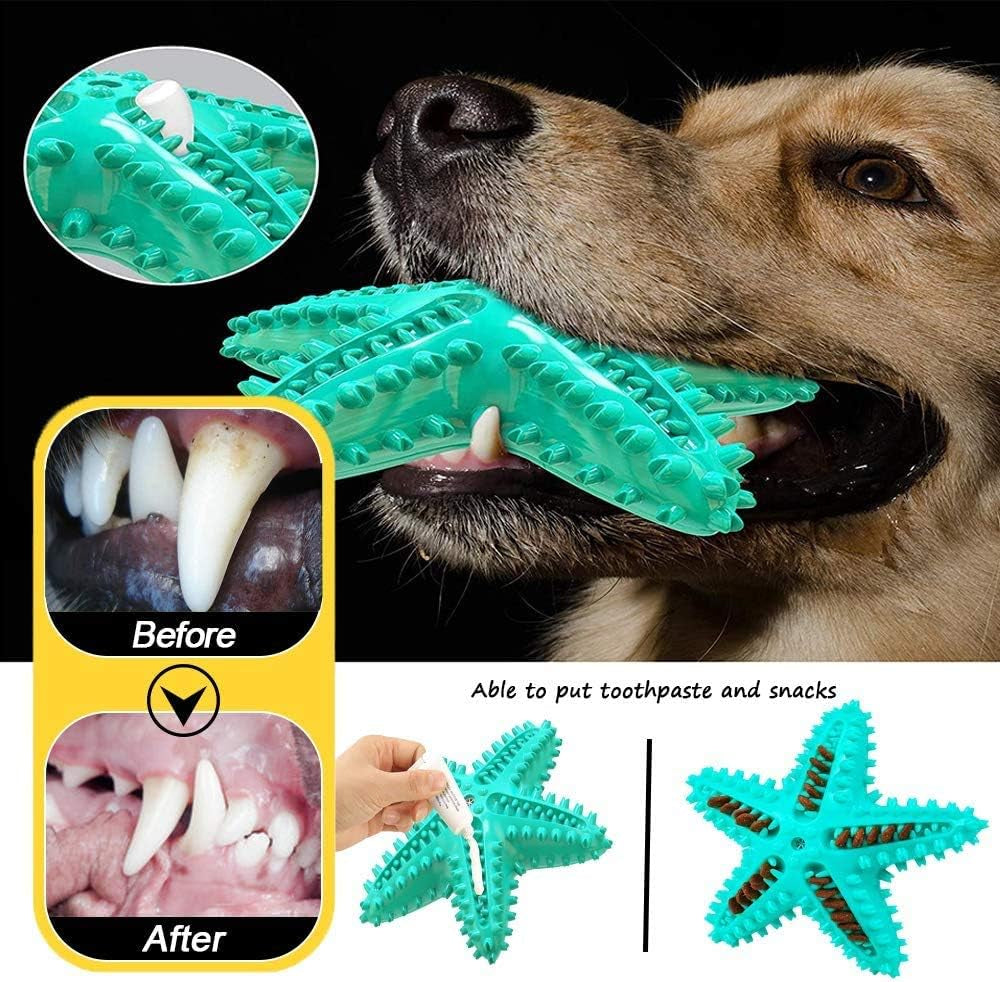 Squeaky Dog Chew Toys for Aggressive Chewers- Dog Toothbrush Toy Durable Chew Sticks for Puppies Teething- Rubber Floating Toy Interactive Puppy Tots Toy for Training Small Medium Dogs (Blue Starfish)