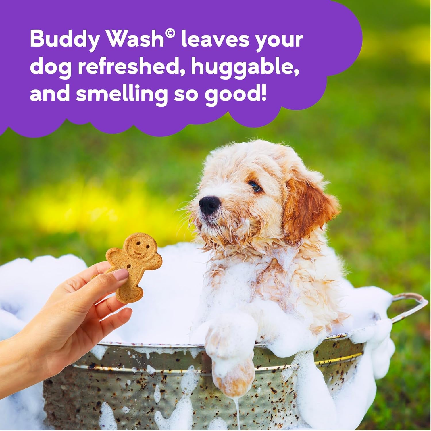 Buddy Wash 2-In-1 Dog Shampoo and Conditioner for Dog Grooming, Lavender & Mint, 1 Gal. Bottle