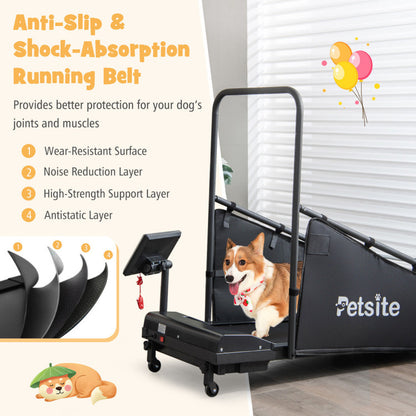 Indoor Pet Exercise Equipment with Remote Control