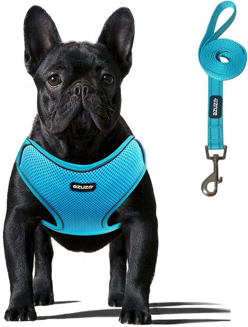 No Pull Dog Harness and Leash Set Reflective Step in Vest Dog Harness with Soft Padded Dog Harness Set for Small and Medium Dogs